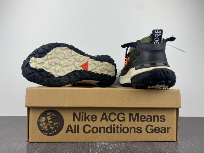 Nike ACG MOUNTAIN FLY LOW 