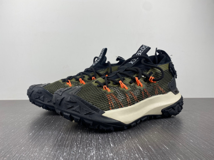 Nike ACG MOUNTAIN FLY LOW 