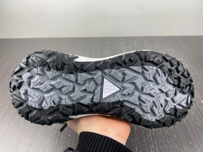 Nike ACG MOUNTAIN FLY LOW 