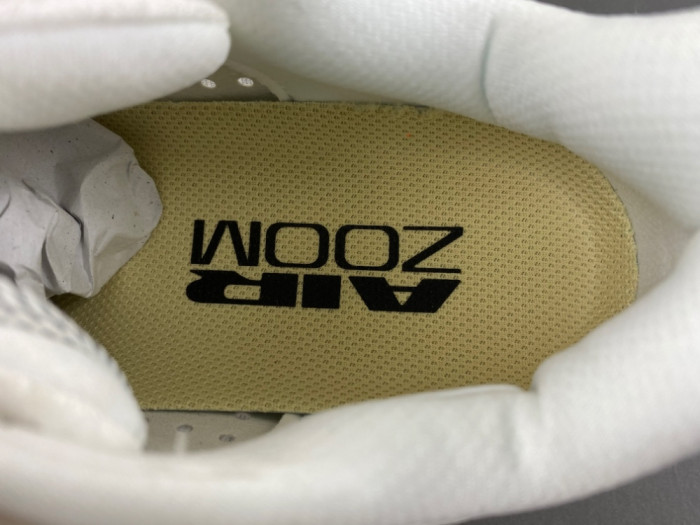 nike pegasus preM1vm 