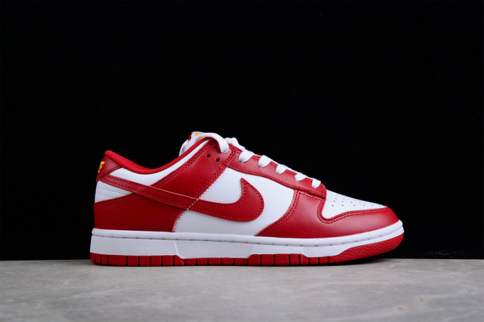 NIKE Dunk Low SG DD1391-602
