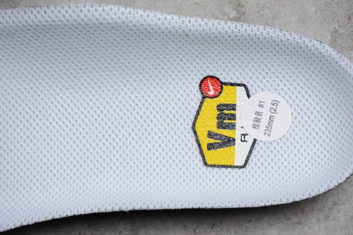 Nike Air VaporMax Plus Grape 924453-101