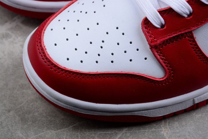 NIKE Dunk Low SG DD1391-602