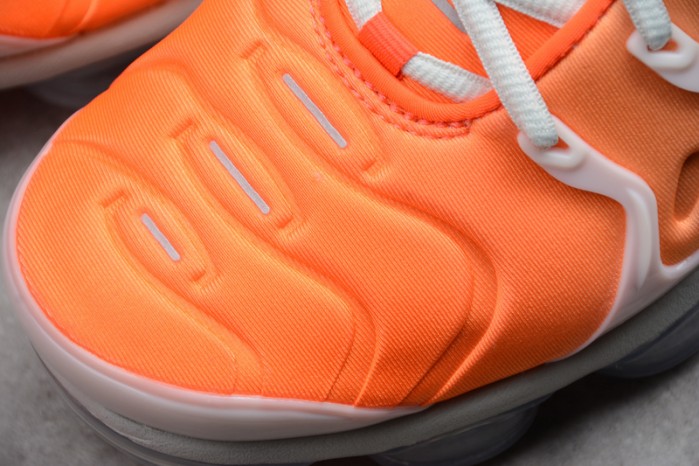 Nike Vapormax Plus AO4550-003