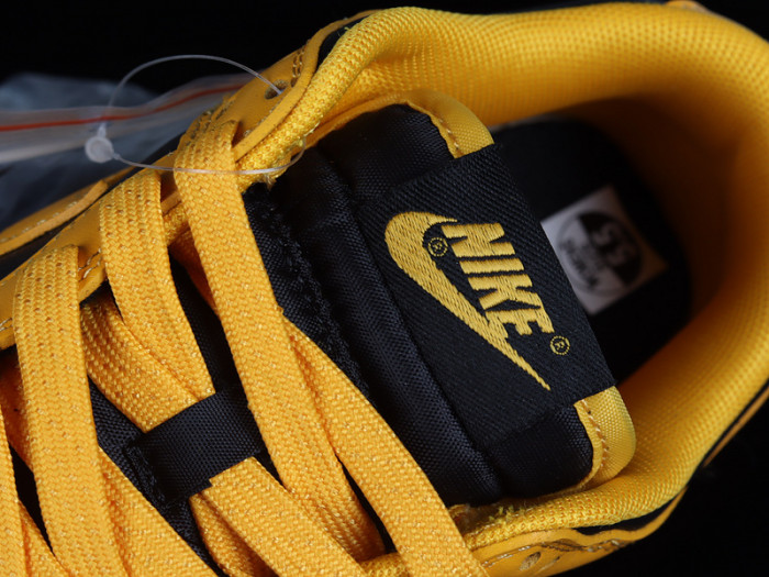 nike dunk low G01denrod (2021) - dd1391-004