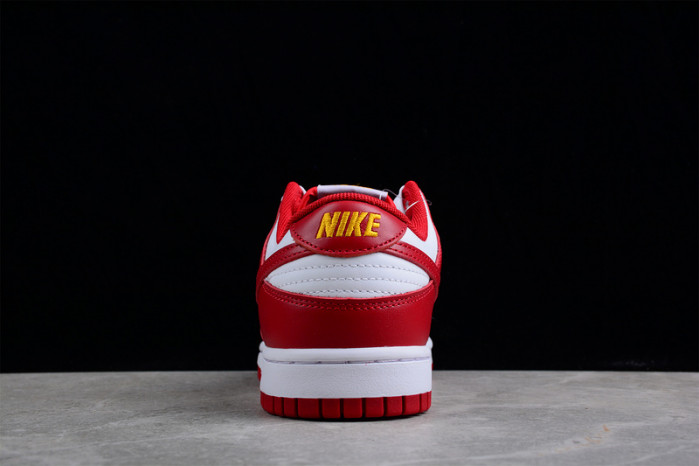 NIKE Dunk Low SG DD1391-602