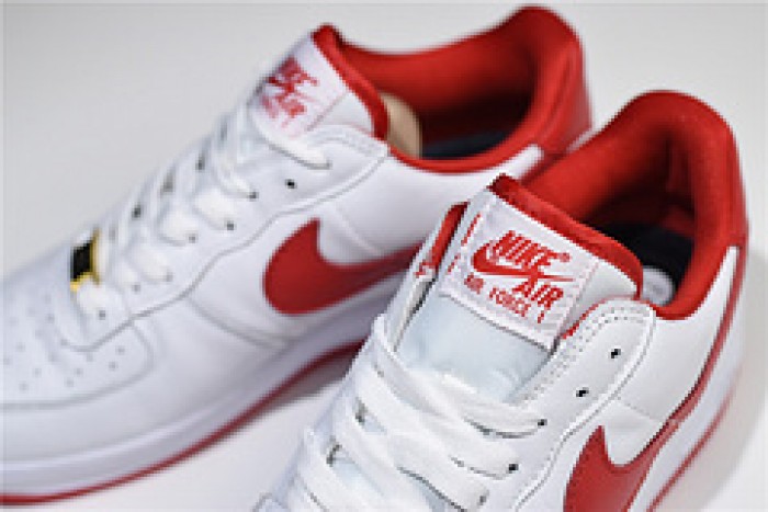 Nike Air Force 1 Low Fo Fi Fo AQ5107-100